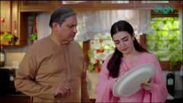 Shehzadi House - Episode 22